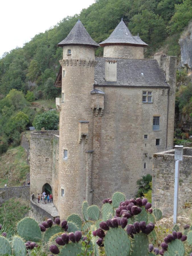 Les Dessous De La Grange Apartment Larroque-Toirac ภายนอก รูปภาพ